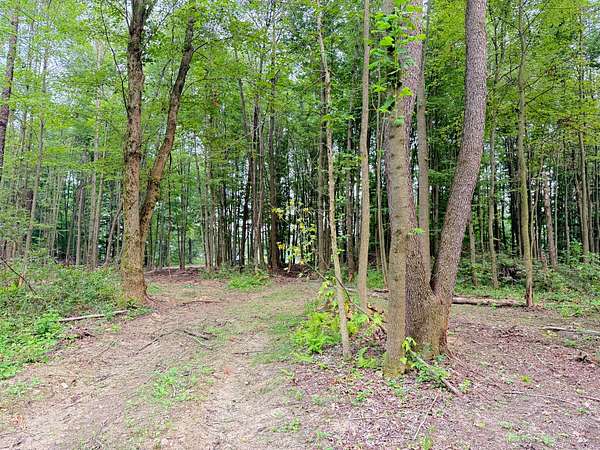 10.2 Acres of Recreational & Residential Land for Sale in Hadley, Pennsylvania