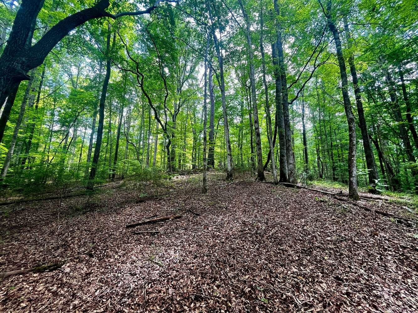 363 Acres of Recreational & Residential Land for Sale in Rockford, Alabama