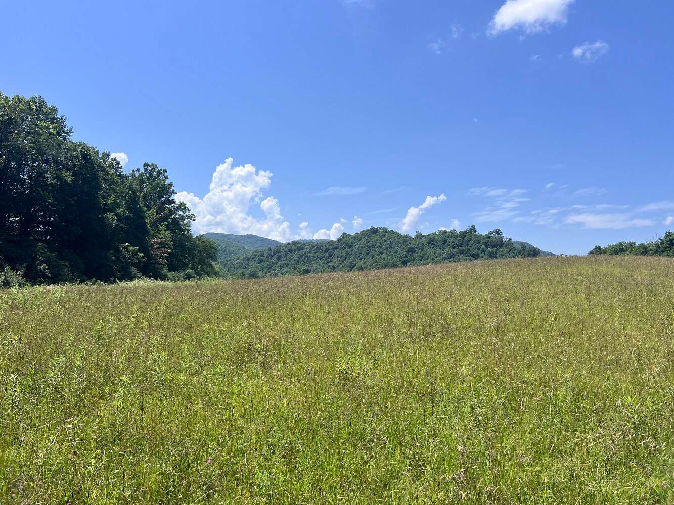 295 Acres of Land for Sale in Robbins, Tennessee