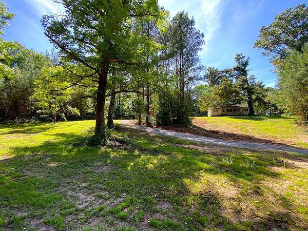 11 Acres of Recreational & Residential Land for Sale in Cottondale, Alabama
