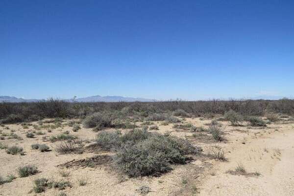 200 Acres of Land for Sale in San Simon, Arizona