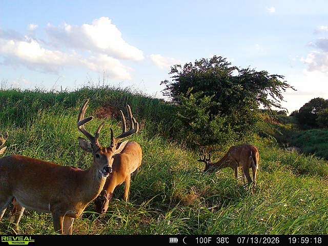 80 Acres of Land for Sale in Kingfisher, Oklahoma