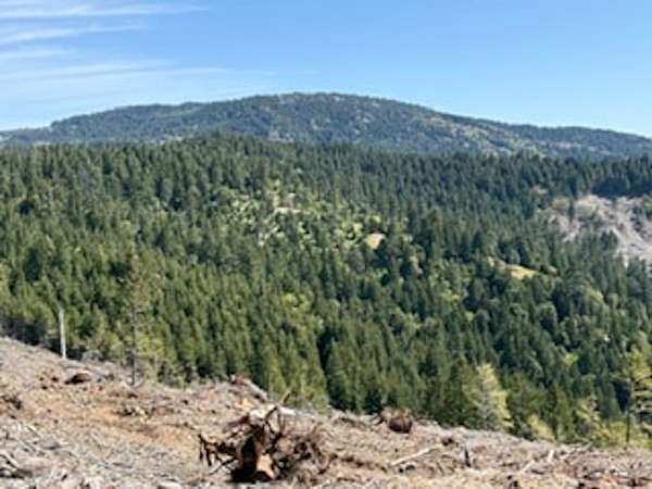 330 Acres of Recreational Land for Sale in Kneeland, California