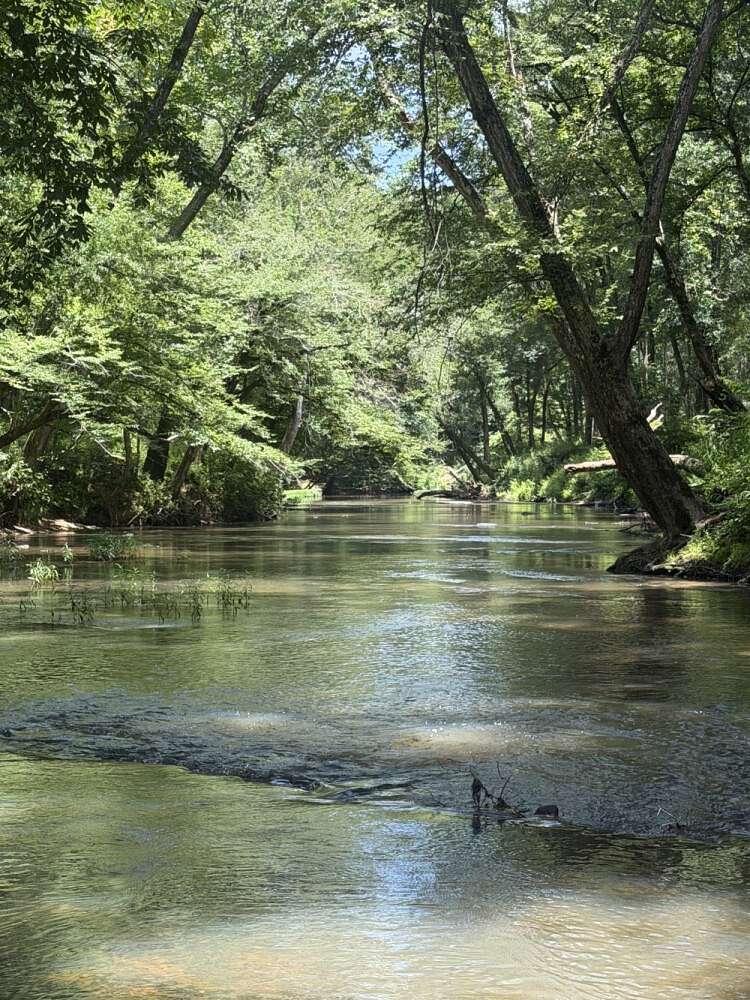 5.5 Acres of Residential Land for Sale in Berry, Alabama