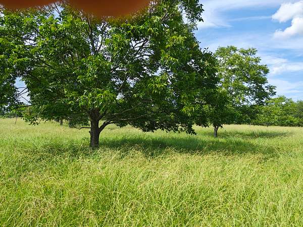 30.9 Acres of Recreational & Residential Land for Sale in Oak Ridge, Louisiana