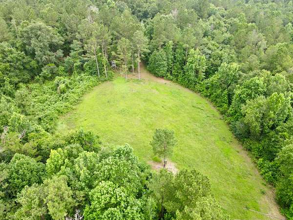 60 Acres of Recreational Land for Sale in Jackson, Alabama