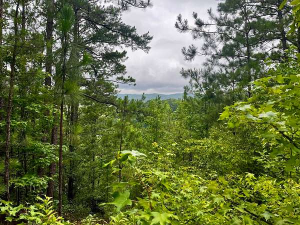 11 Acres of Recreational & Residential Land for Sale in Columbiana, Alabama