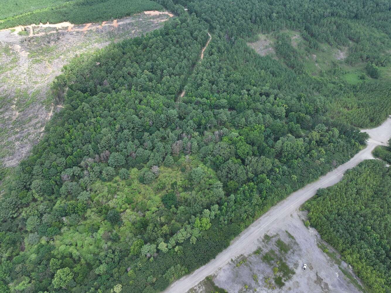 36 Acres of Recreational & Residential Land for Sale in Adger, Alabama