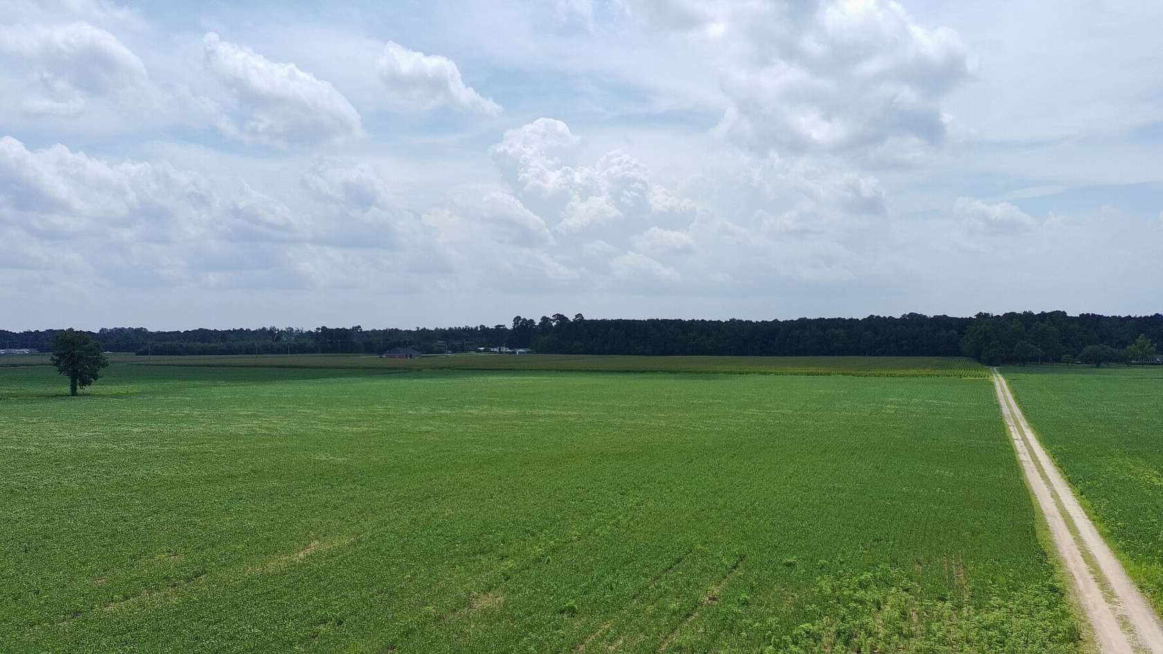 28 Acres of Recreational & Residential Land for Sale in St. Pauls, North Carolina
