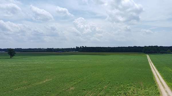 28 Acres of Recreational & Residential Land for Sale in St. Pauls, North Carolina