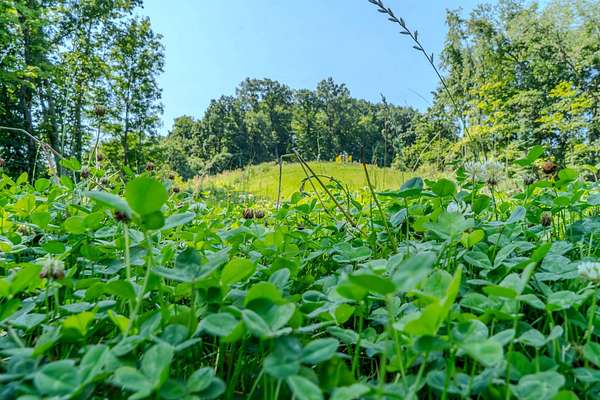 157 Acres of Recreational Land for Sale in New Freeport, Pennsylvania