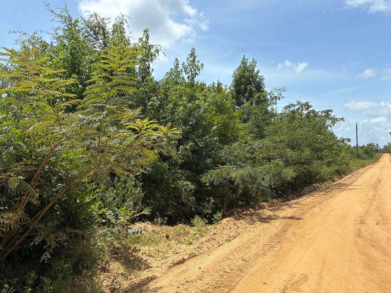 80 Acres of Recreational & Residential Land for Sale in Rentz, Georgia