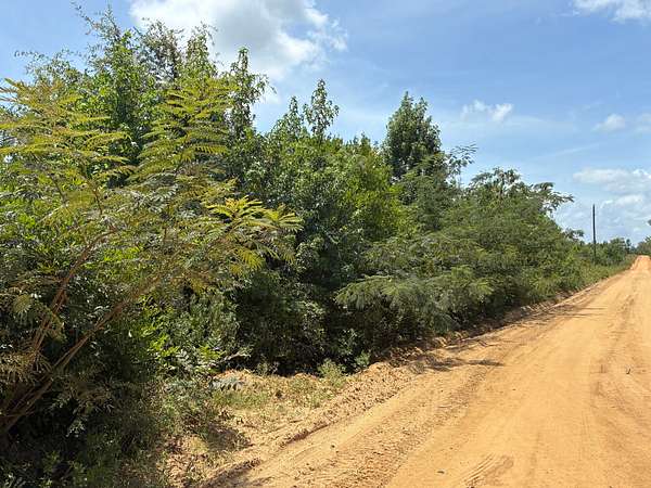 80 Acres of Recreational & Residential Land for Sale in Rentz, Georgia