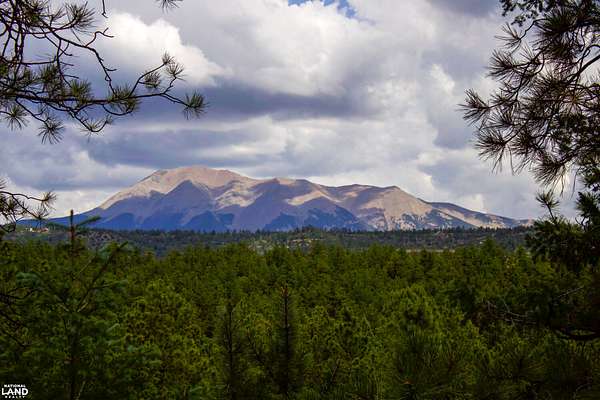 35 Acres of Recreational Land for Sale in Weston, Colorado