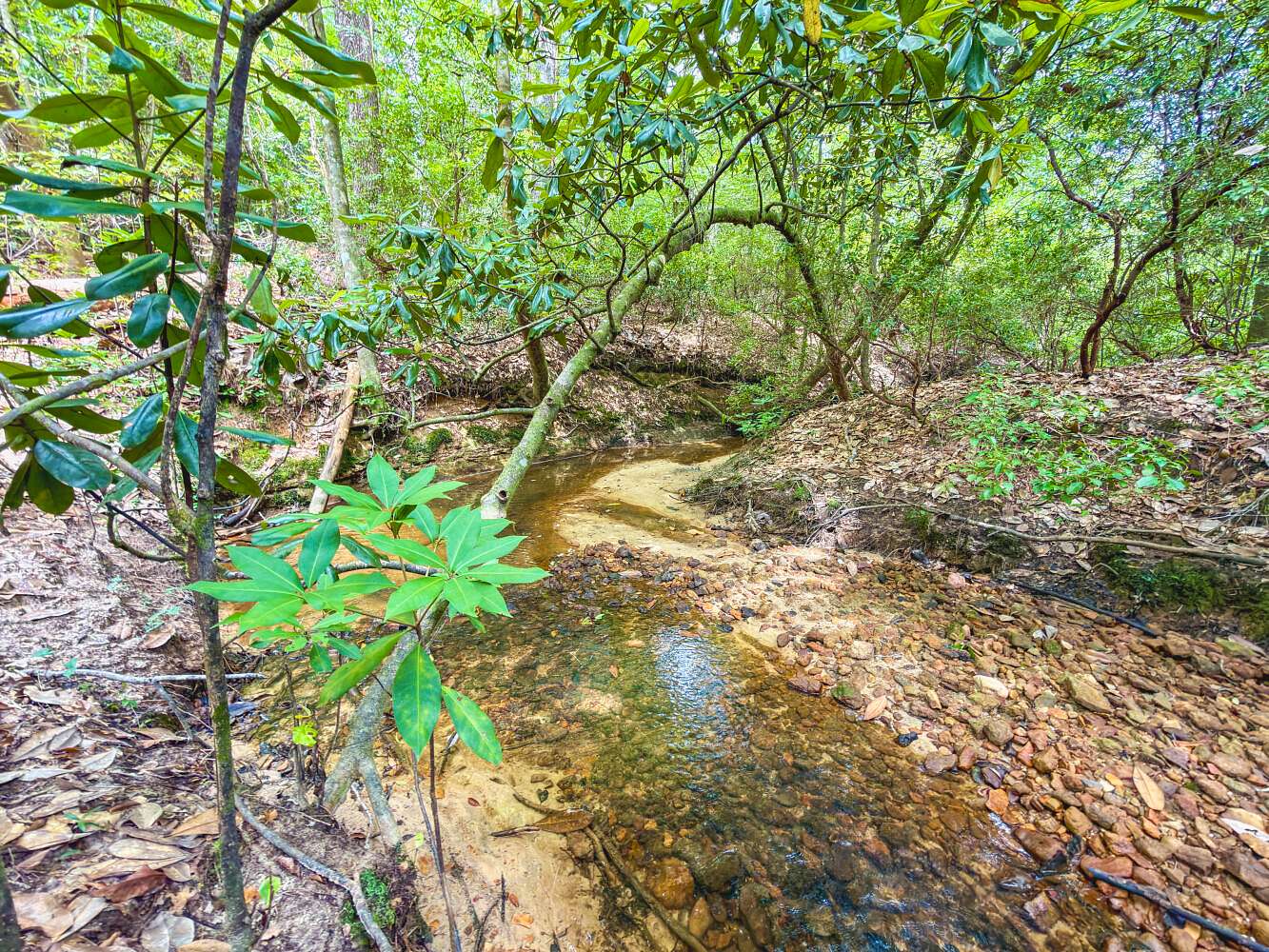 40 Acres of Land for Sale in Toxey, Alabama