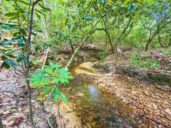 40 Acres of Land for Sale in Toxey, Alabama