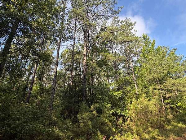 51 Acres of Recreational Land for Sale in Pine Hill, Alabama