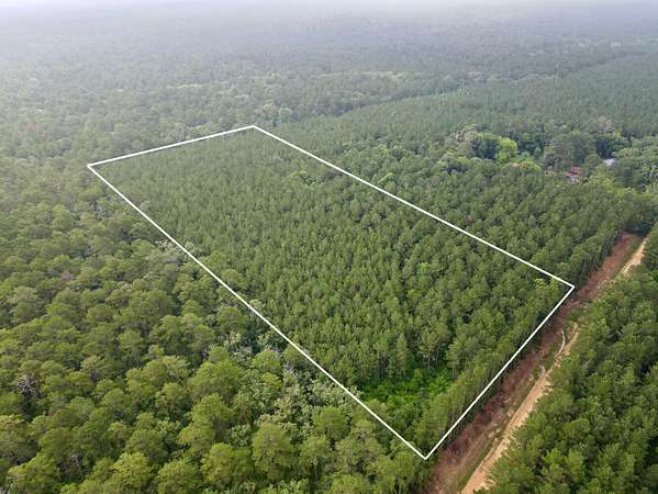10 Acres of Residential Land for Sale in Lake, Mississippi