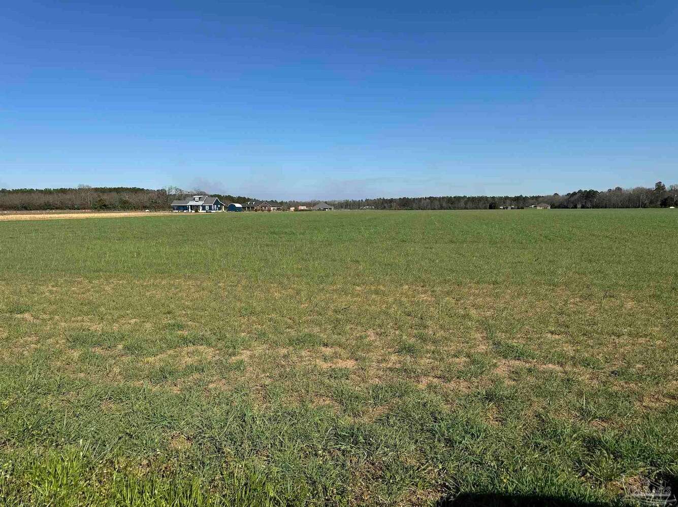 9.42 Acres of Residential Land for Sale in Pace, Florida