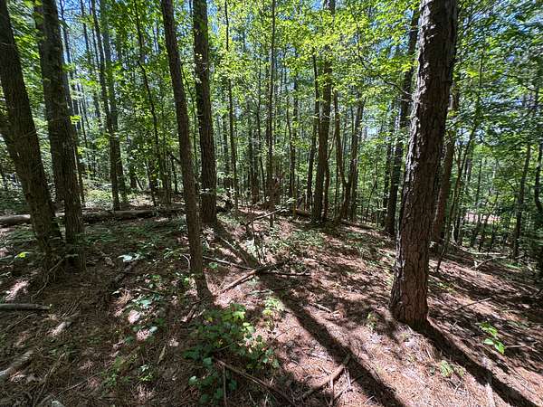 7.45 Acres of Residential Land for Sale in Clanton, Alabama