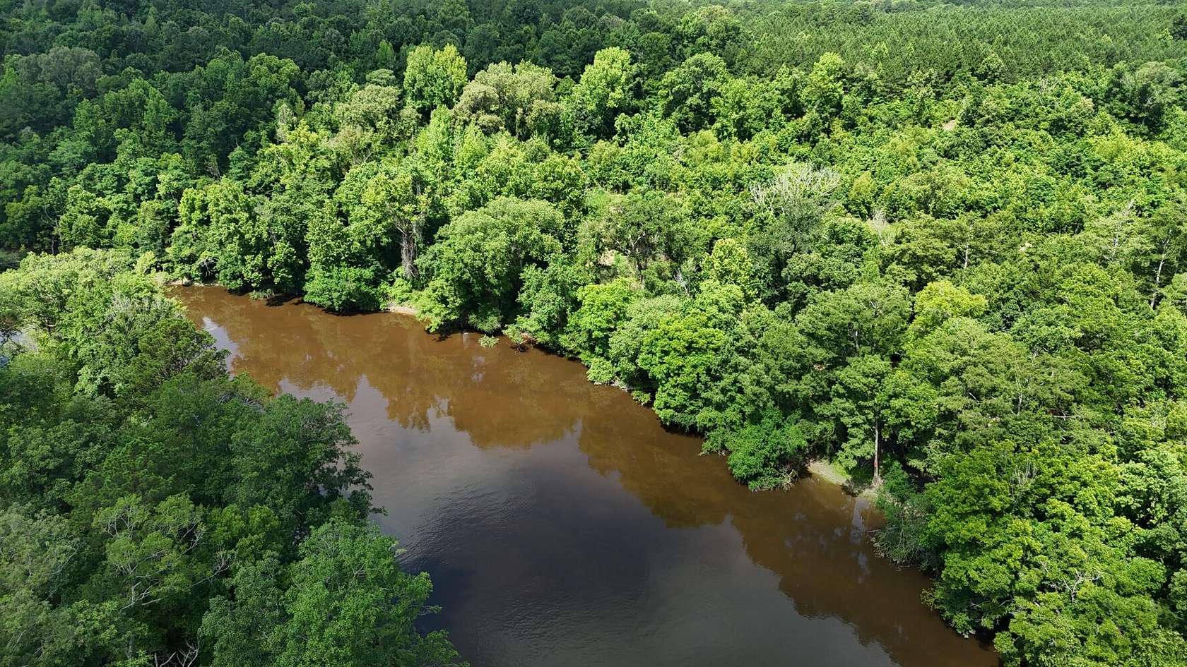97 Acres of Recreational Land for Sale in Lacey, Arkansas