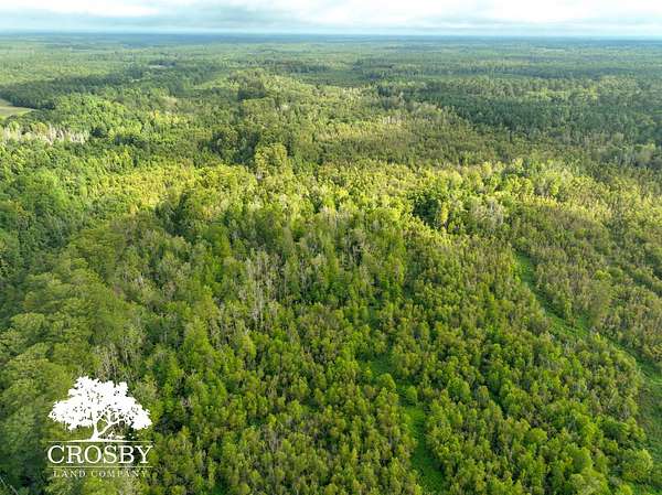 276 Acres of Recreational Land for Sale in Bamberg, South Carolina