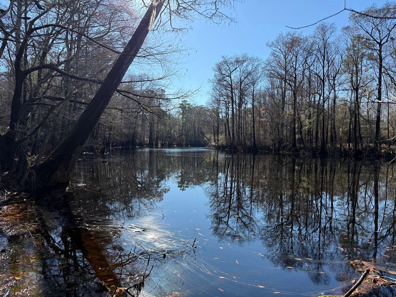 70 Acres of Recreational Land for Sale in Burgaw, North Carolina