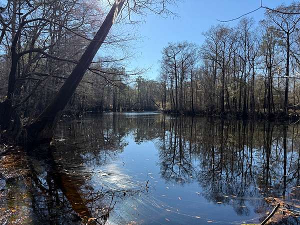 70 Acres of Recreational Land for Sale in Burgaw, North Carolina