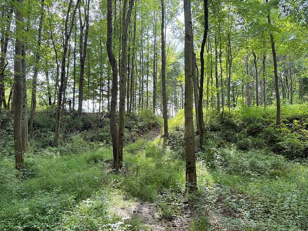 36.7 Acres of Recreational & Residential Land for Sale in Conneautville, Pennsylvania