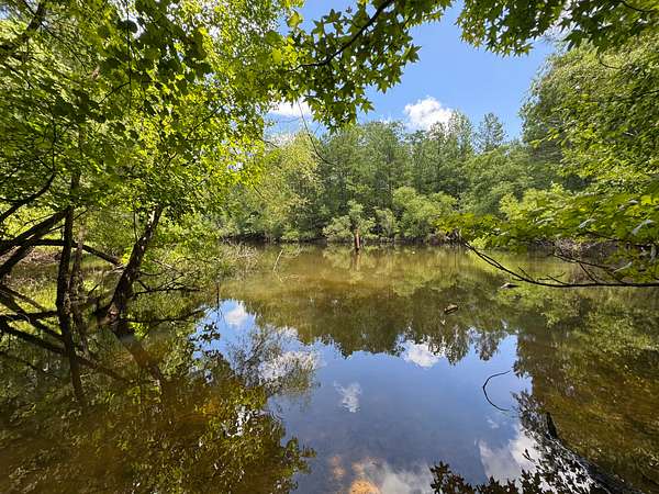 127 Acres of Recreational Land for Sale in Clanton, Alabama