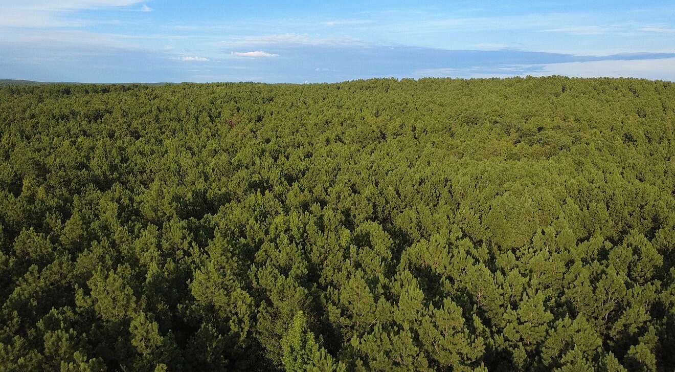 75.7 Acres of Recreational & Residential Land for Sale in Columbiana, Alabama