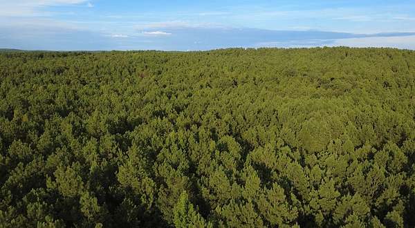 75.7 Acres of Recreational & Residential Land for Sale in Columbiana, Alabama
