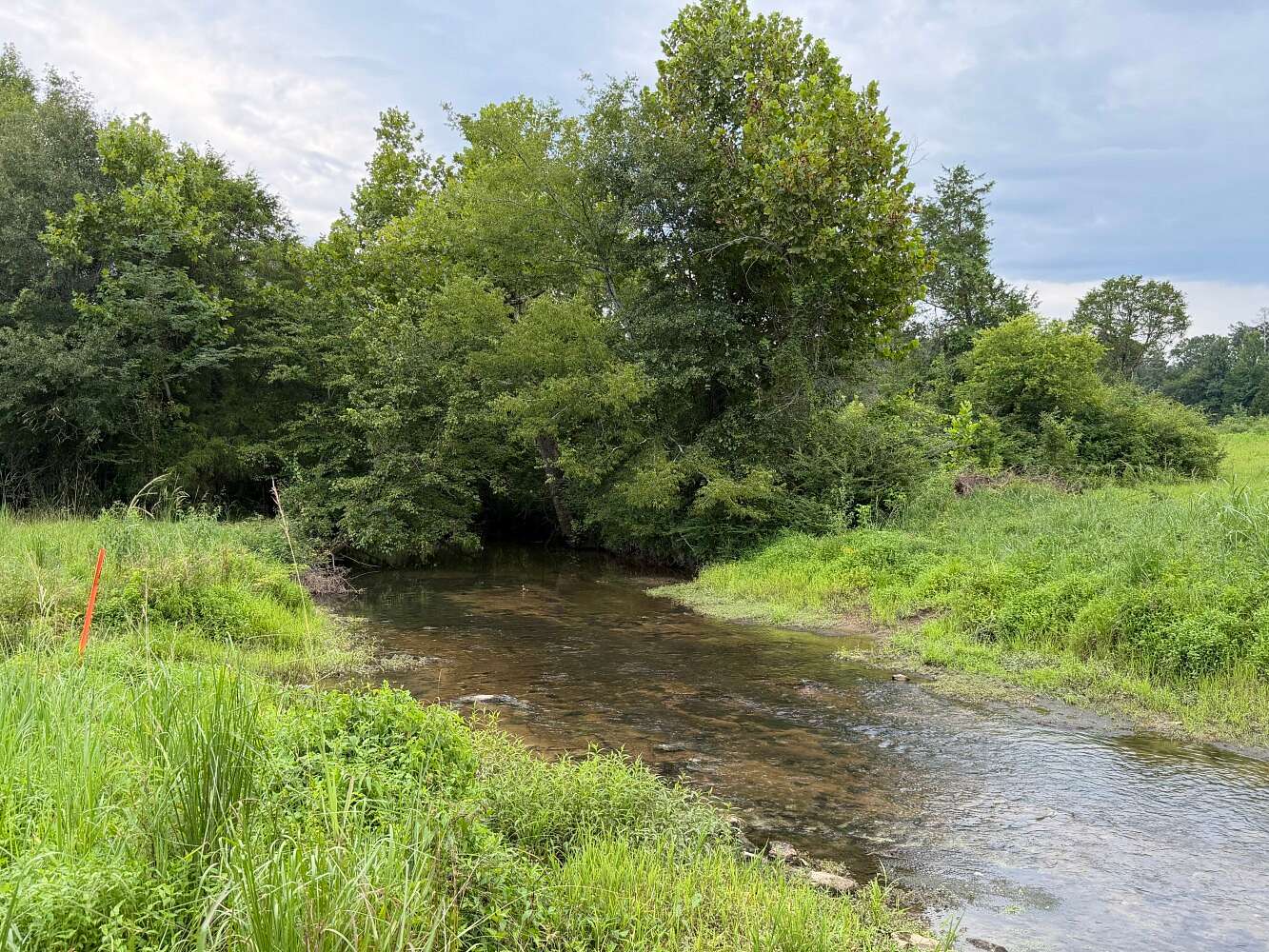 18.8 Acres of Land for Sale in Vincent, Alabama