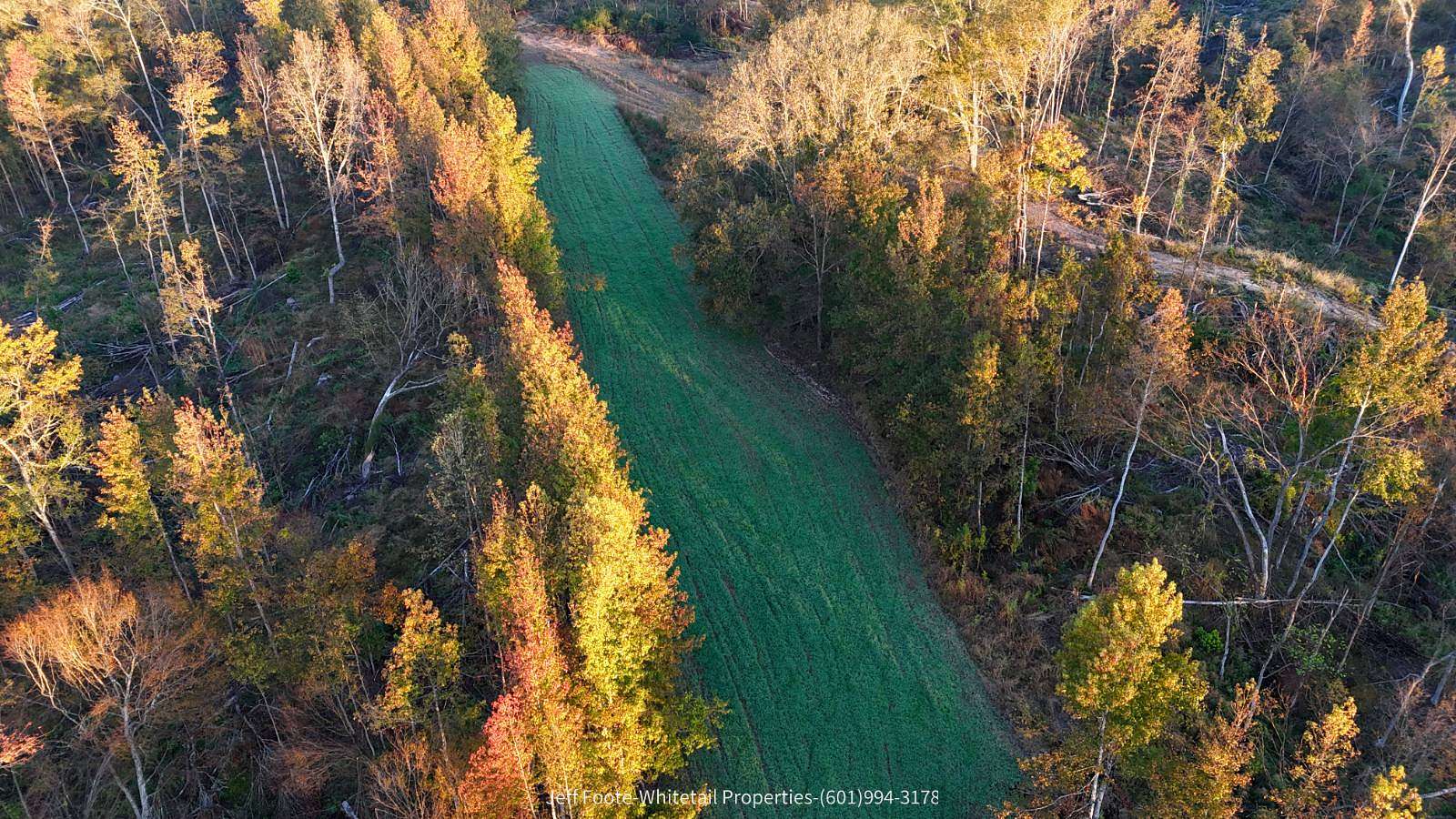 72 Acres of Recreational Land for Sale in Port Gibson, Mississippi