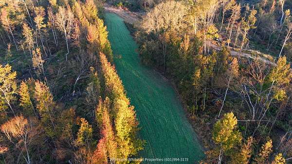 72 Acres of Recreational Land for Sale in Port Gibson, Mississippi