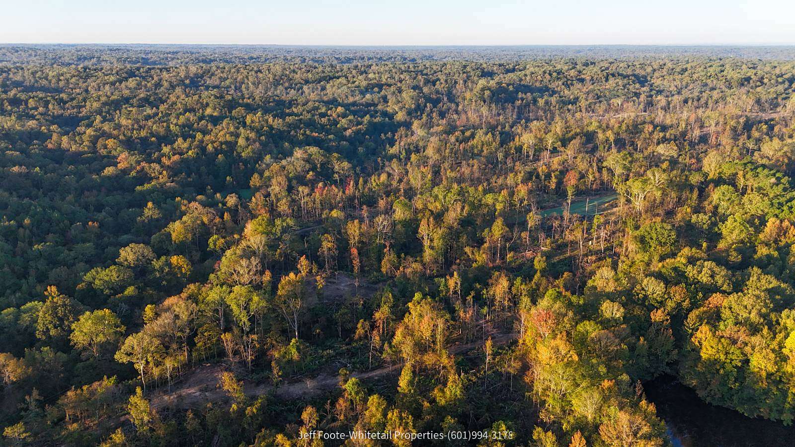 117 Acres of Recreational Land for Sale in Port Gibson, Mississippi