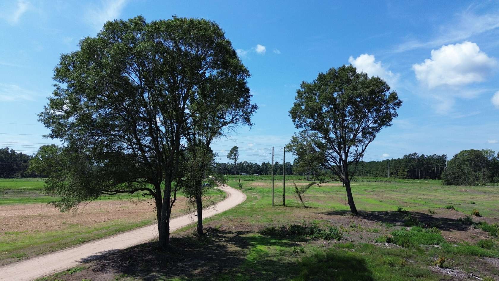17 Acres of Recreational & Residential Land for Sale in Vance, South Carolina