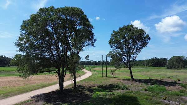 17 Acres of Recreational & Residential Land for Sale in Vance, South Carolina
