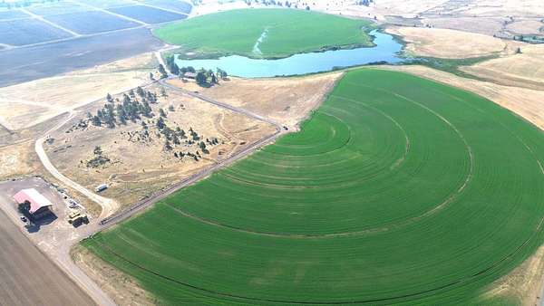 195 Acres of Agricultural Land with Home for Sale in McArthur, California
