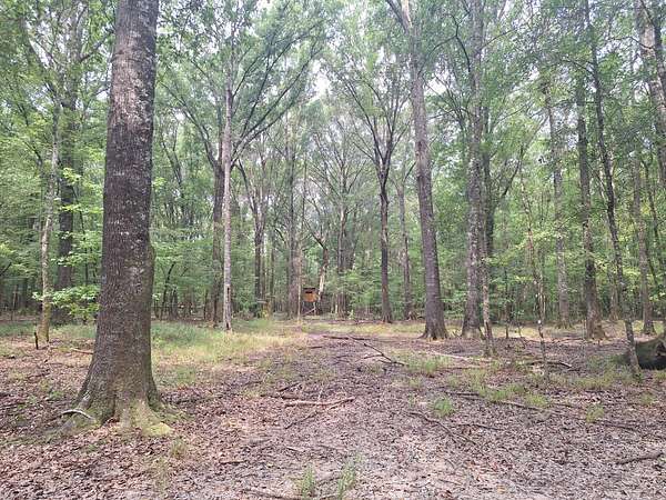 120 Acres of Recreational & Residential Land for Sale in Lowndesboro, Alabama
