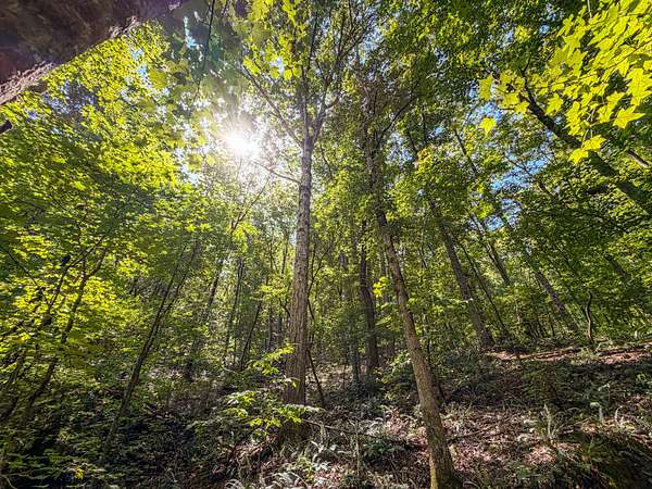 168 Acres of Recreational Land for Sale in Alabaster, Alabama