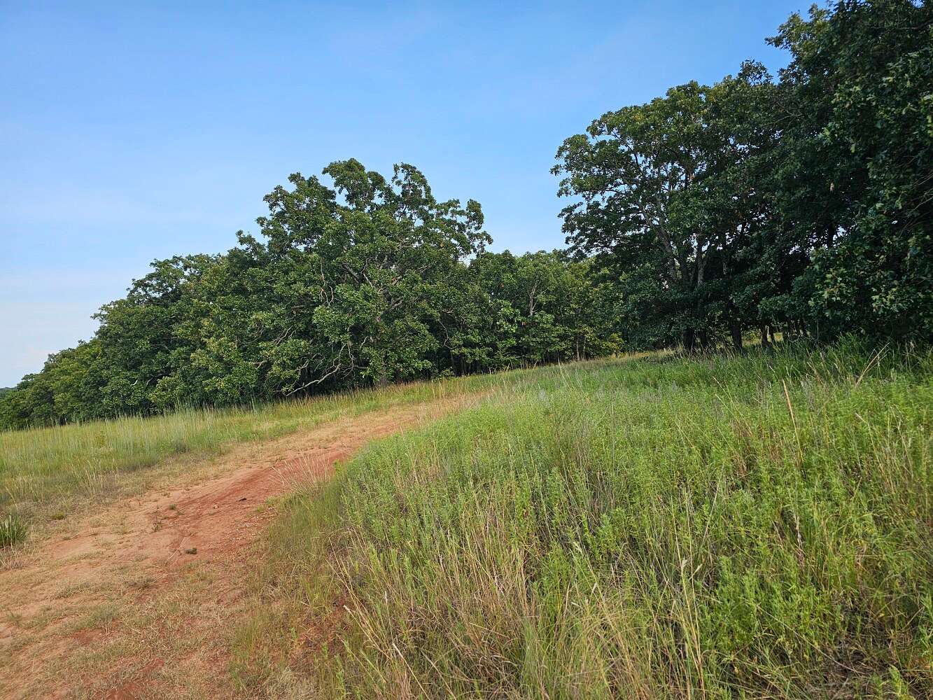80.2 Acres of Recreational & Residential Land for Sale in Bristow, Oklahoma