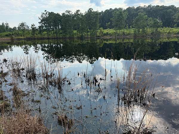 154 Acres of Recreational Land for Sale in Evergreen, Alabama