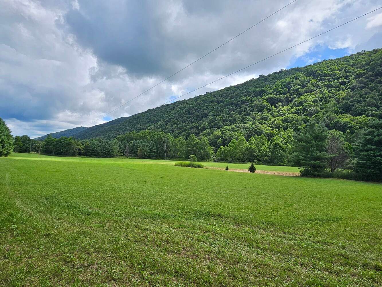 69 Acres of Land for Sale in Mill Gap, Virginia