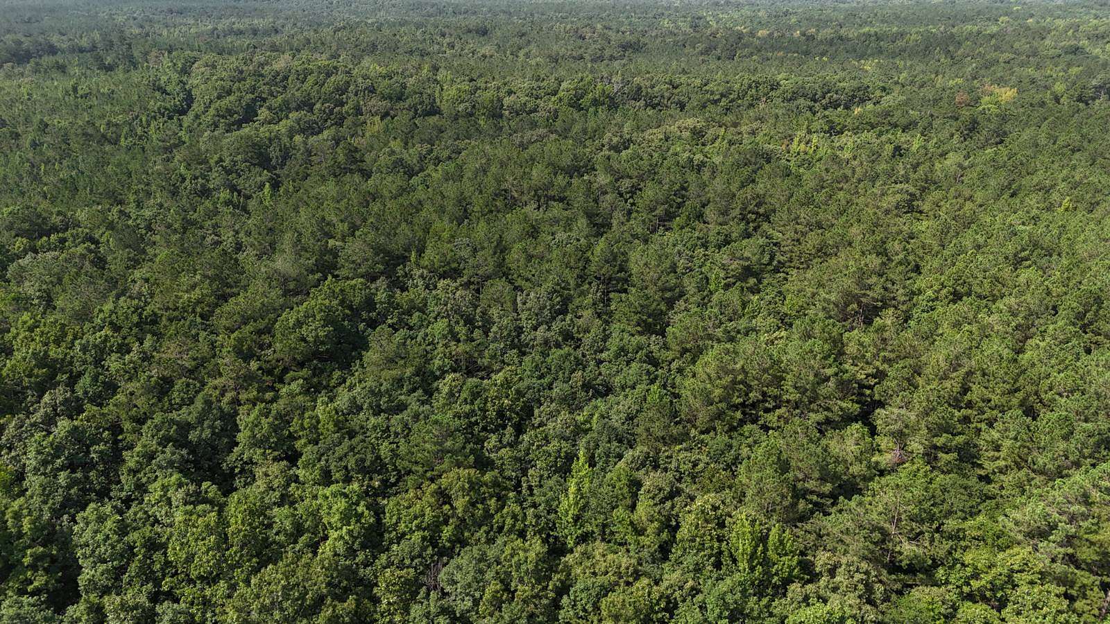 66 Acres of Recreational Land for Sale in Kilmichael, Mississippi