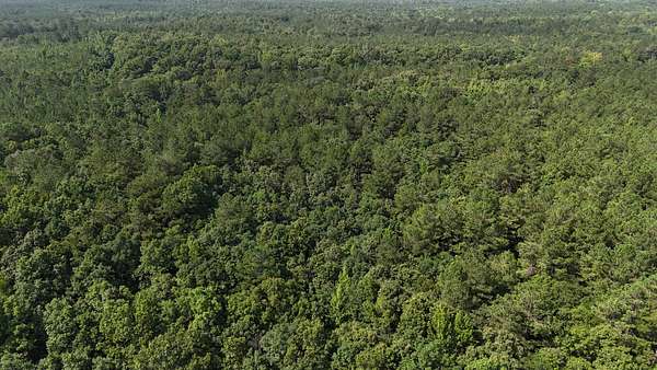 66 Acres of Recreational Land for Sale in Kilmichael, Mississippi