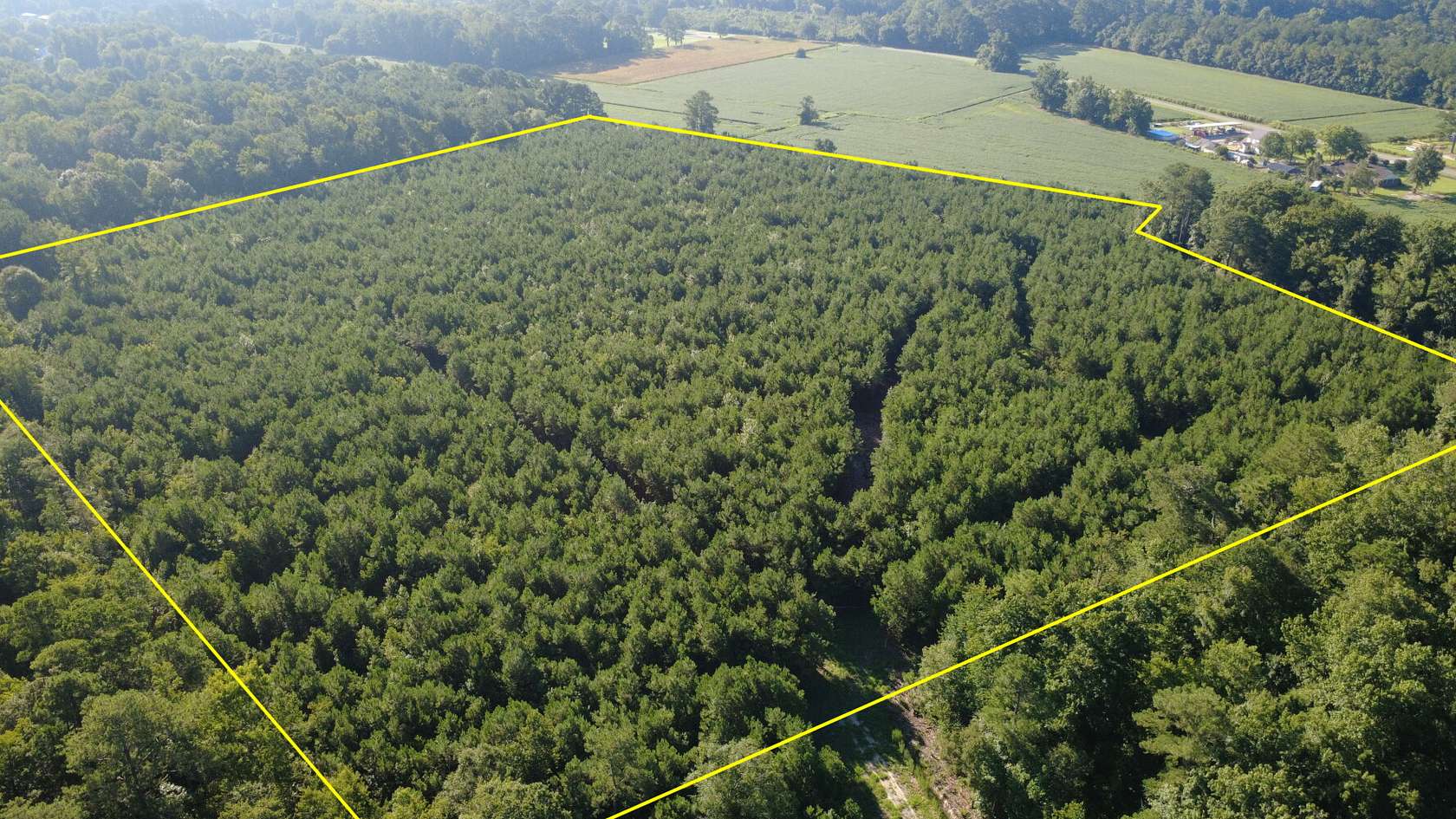 23.4 Acres of Recreational & Residential Land for Sale in Teachey, North Carolina