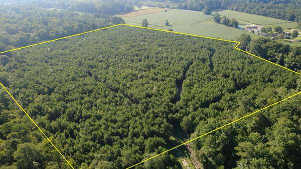 23.4 Acres of Recreational & Residential Land for Sale in Teachey, North Carolina