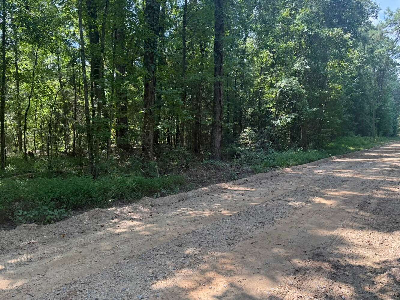 64 Acres of Recreational Land for Sale in Belmont, Alabama