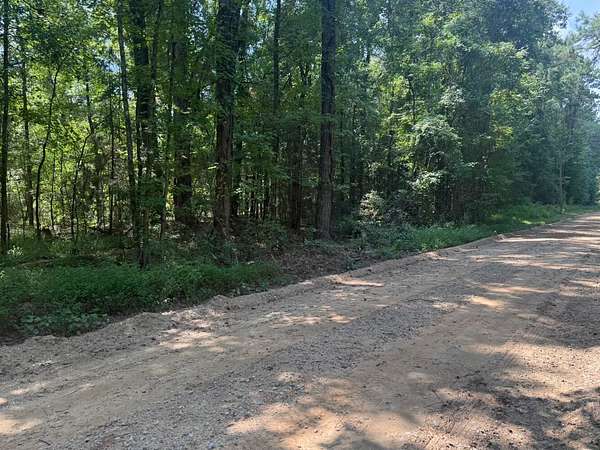 64 Acres of Recreational Land for Sale in Belmont, Alabama